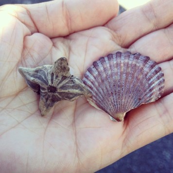 10712712_10152280094271594_6101548525185144483_n